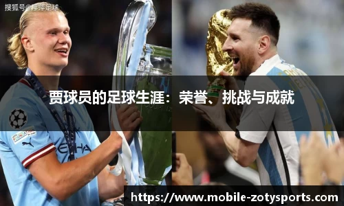 中欧体育官网
